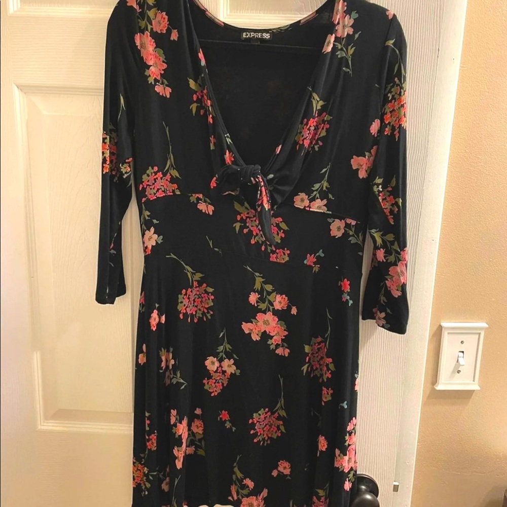 Express Long Sleeve dress